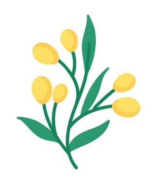 çiçek ve yapraklar izole edilmiş