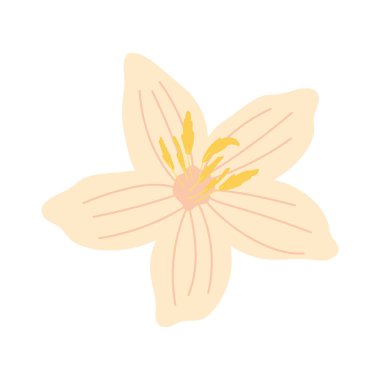 çiçek doğa illüstrasyonu izole vektörü