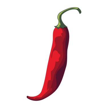 Yarım biberli biber çizimi izole edildi