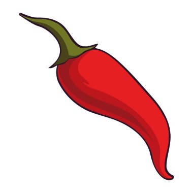 Yarım jalapeno biber çizimi izole edildi