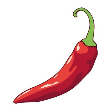 Yarım jalapeno sebze çizimi izole edildi