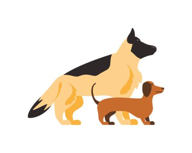 Alman safkan köpekleri izole edilmiş.