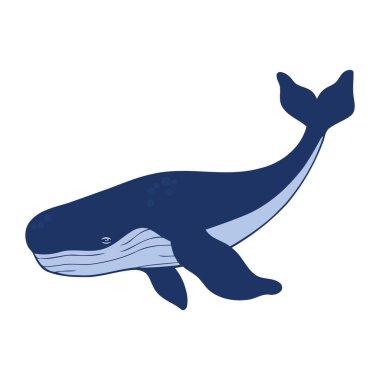 kambur balina mavi çizimi izole edildi