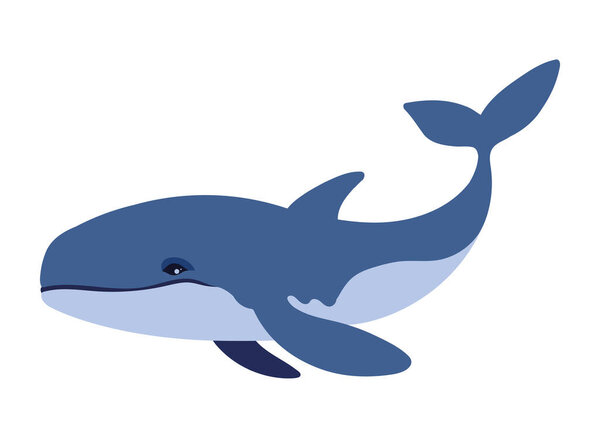 humpback sealife wild illustration isolated