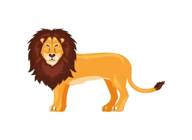 aslan hayvan izole tasarım vektörü