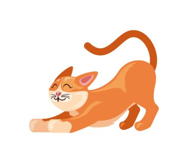 Komik kedi hayvan maskotu çizgi filmi