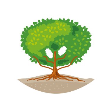 Yeşil yapraklı mangrov ağacı.