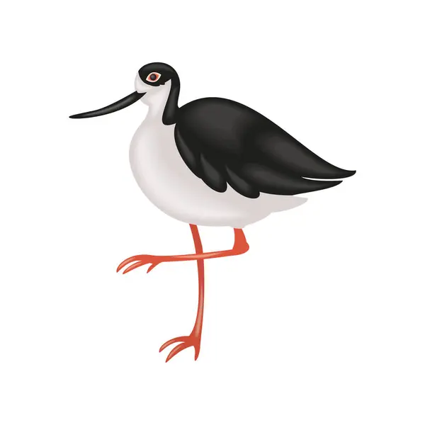 stock vector black necked stilt bird isolated vector