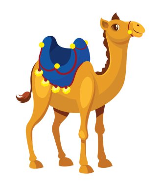 bikaner deve festivali izole edildi