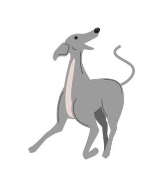 Tazı köpek oyun ikonu izole