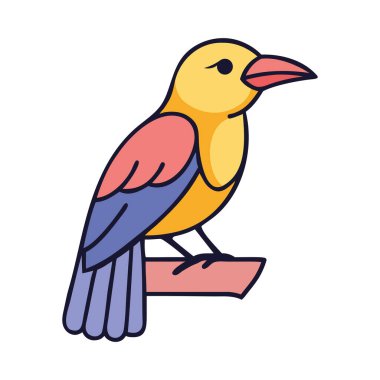 Tropiklerdeki bir dala tünemiş parlak altın oriole