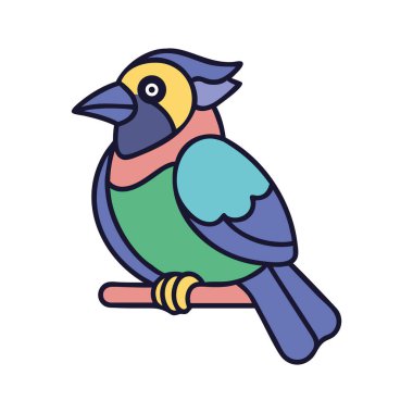 Zarif mavi ve yeşil ibikli kuş bir dala tünemiş.