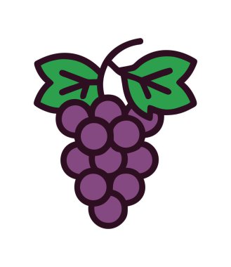 İtalyan taze üzüm demeti.