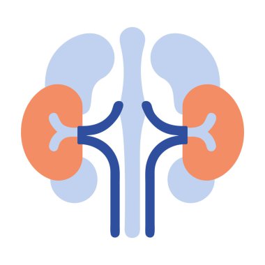 Böbrek hastalığı çift anatomi çizimi