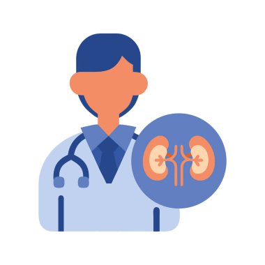 Doktor böbrek hastalıklarını inceliyor.