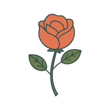 Bahçe Turuncu Gül Çiçeği İmajı