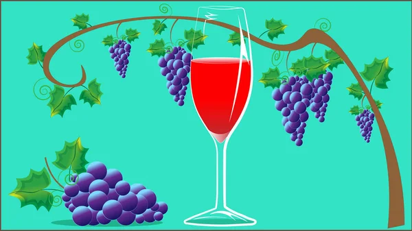 Ein Zweig Reifer Köstlicher Trauben Ein Glas Wein Ein Glas — Stockvektor
