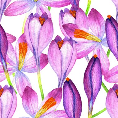 Seamless floral pattern. Lilac crocus flowers on a white background. Spring flowers.