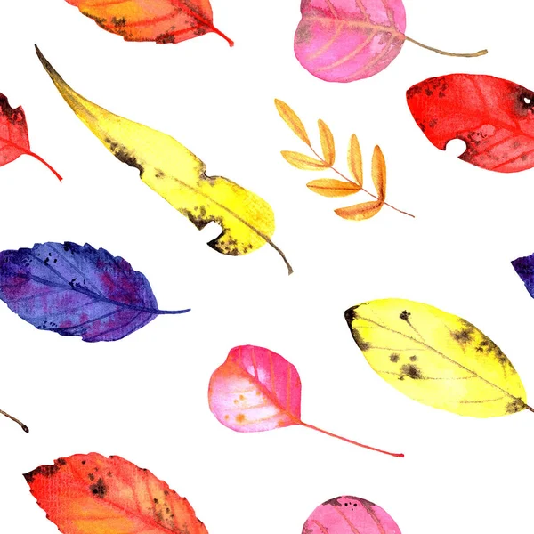 Multicolored leaves painted with watercolors. Seamless pattern on a white background.