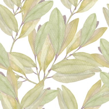 Beyaz arka planda suluboya ile boyanmış, narin zeytin dalları. Kusursuz desen.