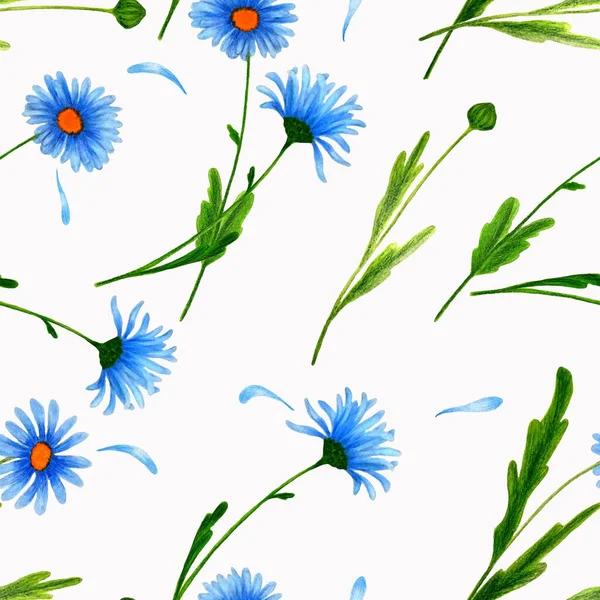 Floral seamless pattern of blue daisies on a white background. Fresh spring pattern with juicy green leaves and delicate blue petals.