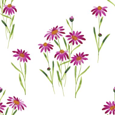 Beyaz arka planda pembe çiçeklerin basit, pürüzsüz deseni. Suluboya resim.