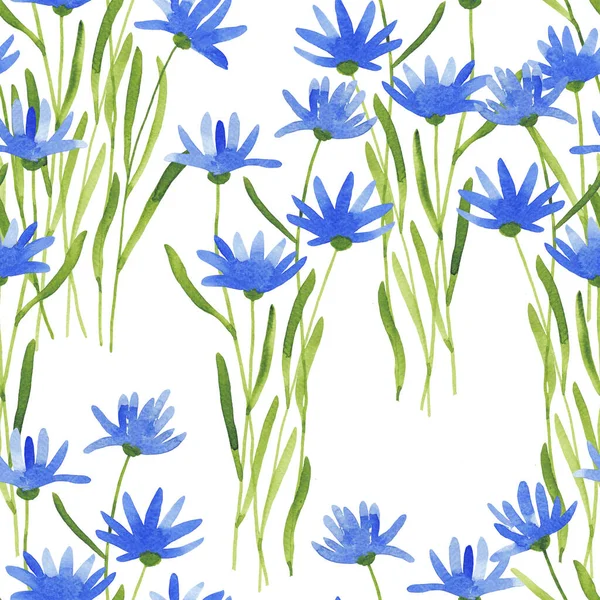 水彩画蓝色的花在白色的背景上 无缝图案 — 图库照片