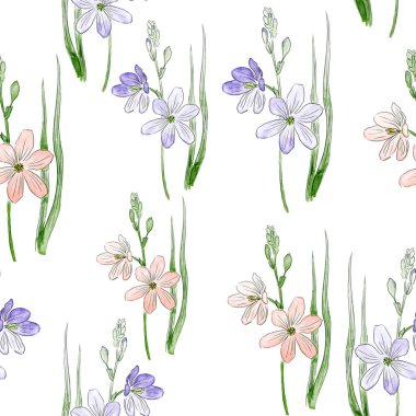 Narin Ixia çiçekleri. Pembe ve mor çiçekli kusursuz çiçek deseni, beyaz arka planda yeşil yapraklar ve tomurcuklar..