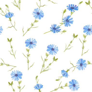 Mavi hindiba. Beyaz arka planda kusursuz suluboya desenler..