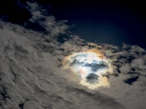 太陽の部分日食 ロイヤリティフリーのストック画像