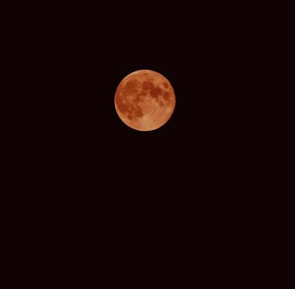 月全食月亮在满月上的月蚀 月全食 — 图库照片