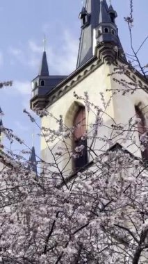 Blossoming sakura against the background of the temple and the blue sky. A cherry blossom. Vertical video. 4K