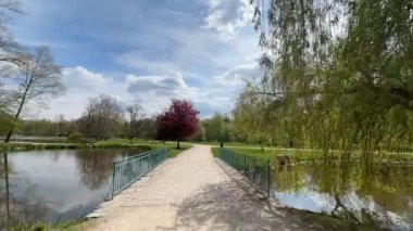Güneşli bir bahar gününde parkta bir patika boyunca yürümenin zamanı..