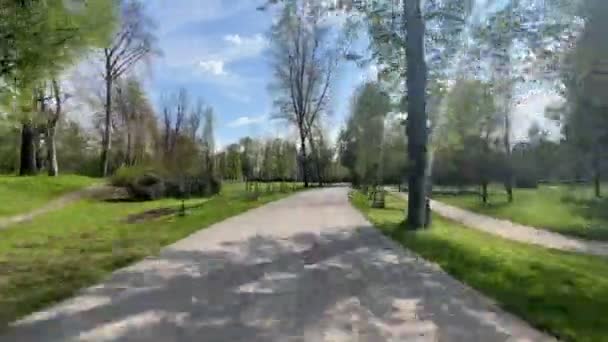 晴れた春の日の公園内の道に沿った散歩の時間経過 — ストック動画
