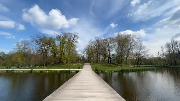 春天阳光灿烂的一天 沿着公园里的小径散步的时间 — 图库视频影像