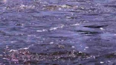 İyi ruh hali ve meditasyon için renkli soyut video arkaplanı. Güzel su ve parlak dalgaların görüntüsü.