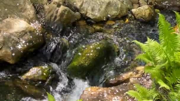 수정처럼 아름다운 자연에 둘러쌓여 비디오 — 비디오