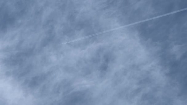 Largo Rastro Avión Cielo Azul Avión Vuela Cielo Azul Deja — Vídeos de Stock