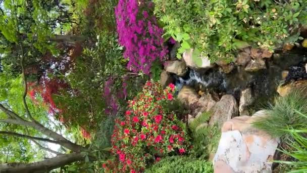 Corriente Cristalina Rodeada Una Naturaleza Mágicamente Hermosa Flores Florecientes Colores — Vídeos de Stock