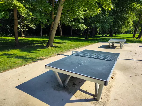 Tavolo Tennis Nel Parco Cittadino Una Giornata Estiva Soleggiata Disposizione — Foto Stock