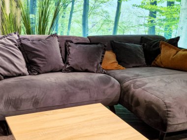 Oturma odasında rahat yastıkları olan güzel, modern bir kanepe..