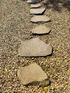 Bahçedeki kaldırım taşı yolu. Güzel bir kaya yolu, medeniyete giden yol.