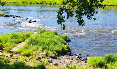 Nehir kıyısında yeşil çimenler ve taşlar olan nehir manzarası.