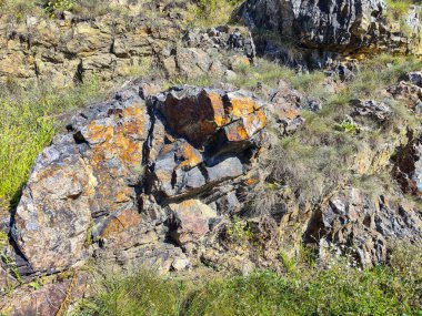 Dağın yamacında kaya var. Bir yaz gününde yeşil çimen papatya çiçekleri ve dağlık bir yamaçta kayalar..