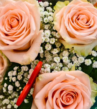 Şaşırtıcı derecede güzel egzotik güller açık mavi renkli pembe ve sarı eklenmiş.. 