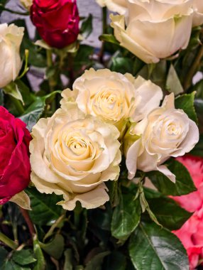 Şaşırtıcı derecede güzel egzotik güller açık mavi renkli pembe ve sarı eklenmiş.. 