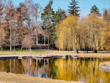 Küçük bir gölet ve baharda bir gölet.