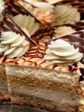 Katmanlı Tiramisu Kremalı Doku Zarif Sunum Profesyonel Yemek Gurubu Fotoğraf Pastanesi Premium Fırınlanmış Muamele