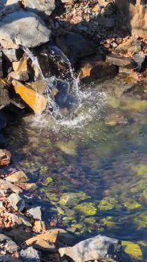 Güneş Dalgalanmaları ve Doğal Taşlar Serinletici Doğa Sahnesi ile Rocky Stream Yatağının Üzerinde Kristal berrak Şelale Akışı Rahatlama, Meditasyon ve Manzarası Manzarası. Yavaş Hareket Videosu 