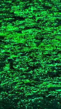 Geceleri neon yeşil biyolüminesans ile parlayan karanlık okyanus suyunun yavaş hareketi, fosforlu deniz yüzeyinin canlı yeşil ışıkla parıldaması. 4K Stock Video Görüntüsü 